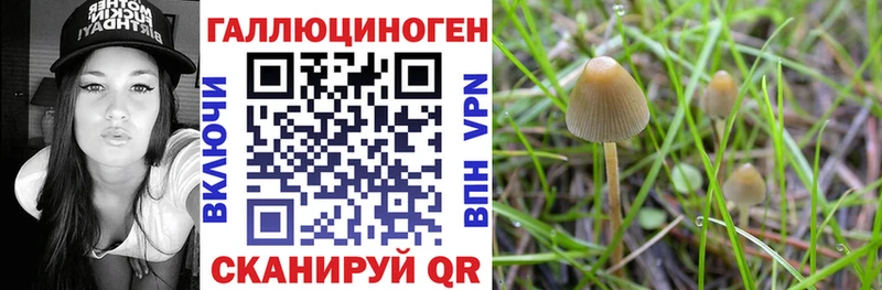 сайты даркнета клад  купить наркотики цена  Алушта  Галлюциногенные грибы мицелий 
